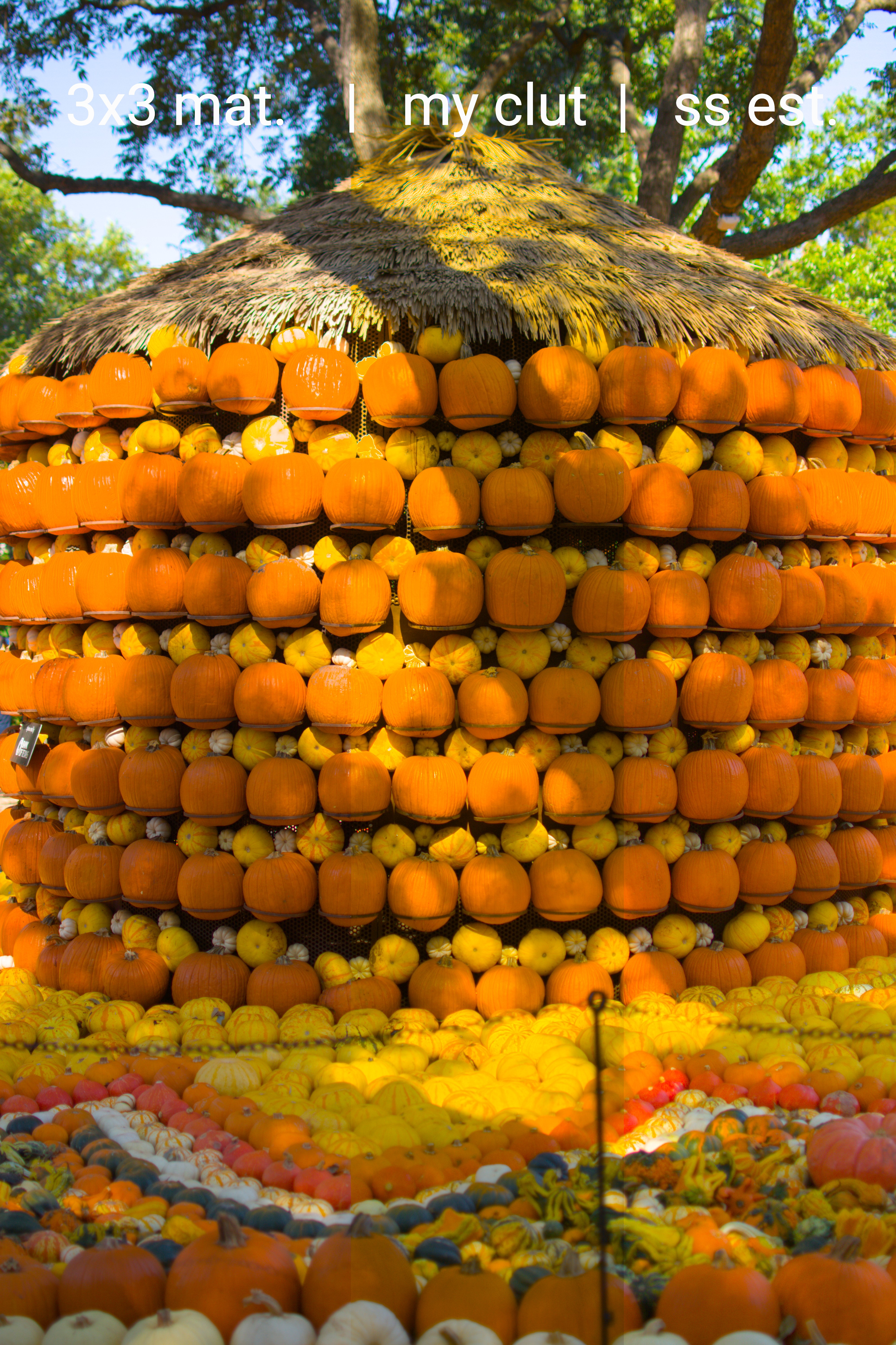 Pumpkins